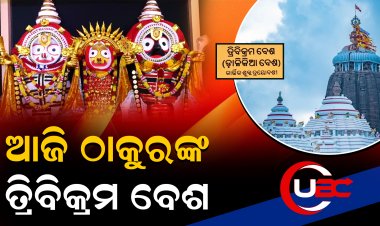 ଆଡ଼କିଆ ବେଶରେ ମସ୍ତକ ଚୂଳରେ ସ୍ଵର୍ଣ୍ଣ ନିର୍ମିତ କିଆ ଆଡବାଗରେ ଖୋସା ଯାଇଛି 