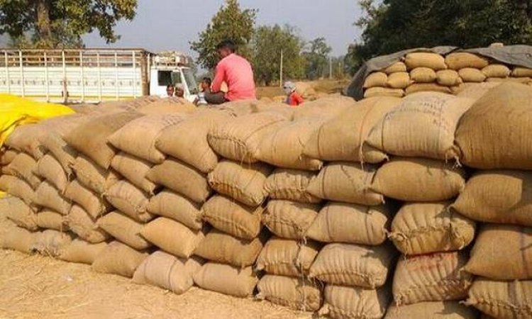 The Odisha government has announced that paddy procurement will begin on November 21.