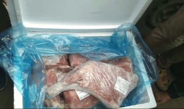 ପାରାଦୀପକୁ ଆନ୍ଧ୍ରରୁ ଆସୁଥିଲା ଗୋମାଂସ