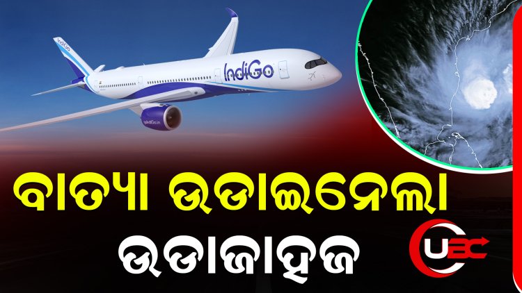 ପାଇଲଟ ନିଜ ଅଭିଜ୍ଞତା ଓ କୌଶଳ ଲଗାଇ ବଞ୍ଚାଇ ଦେଲେ ଶହେରୁ ଅଧକ ଜୀବନ. ଭିଡିଓ ଭାଇରାଲ୍