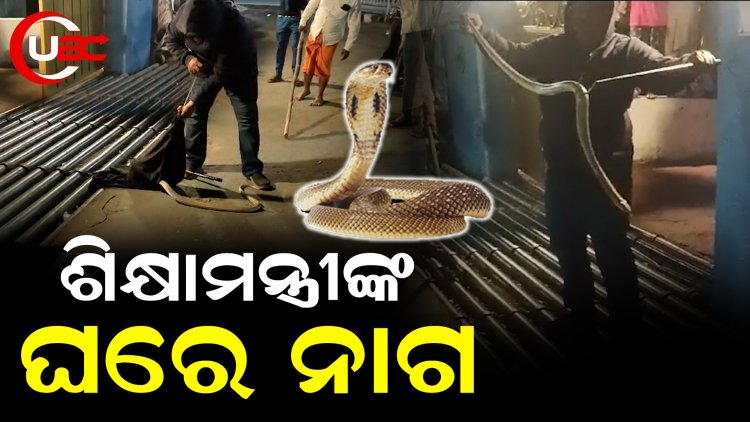 ମନ୍ତ୍ରୀଙ୍କ ଘର ଭିତରକୁ ପଶୁଥିଲେ ନାଗଦେବ, ସୁରକ୍ଷାକର୍ମୀ ପ୍ରବେଶ କରାଇ ଦେଲେନି