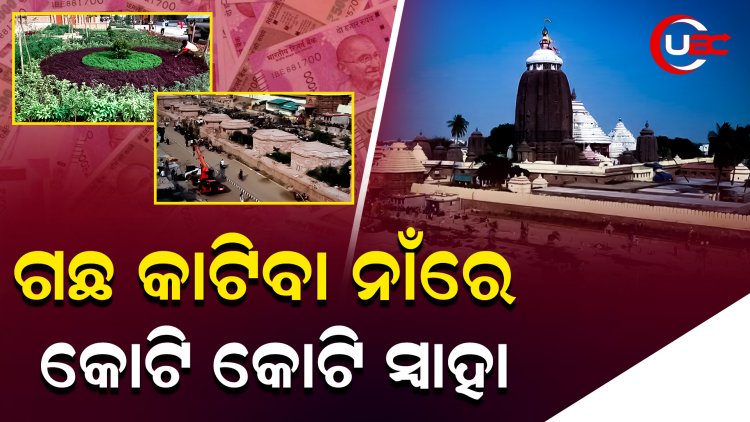 ପରିକ୍ରମା ପ୍ରକଳ୍ପରେ ଗଛ କାଟିବା ଓ ସିଫ୍ଟିଂ ନାଁରେ ୧୫ କୋଟି ୩୭ ଲକ୍ଷ ଖର୍ଚ୍ଚ