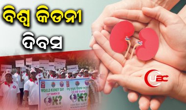 ବିଶ୍ୱ କୀଡୀନି ଦିବସ