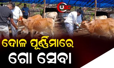 ଏଥର ଦୋଳ ପୂର୍ଣ୍ଣିମା ଟିକେ ନିଆରା